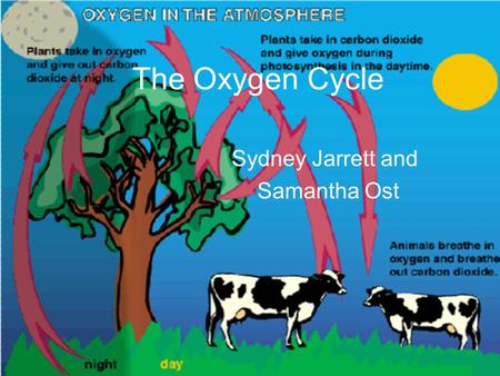 Sydney Jarrett and Samantha Ost