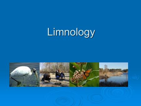 Limnology. What is Limnology?  Think about –ology? What does biology mean?  Limnology is the study of fresh waters.  Today we will study a pond ecosystem.