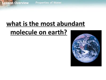 Lesson Overview Lesson Overview Properties of Water what is the most abundant molecule on earth?