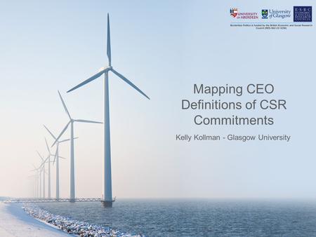 Mapping CEO Definitions of CSR Commitments