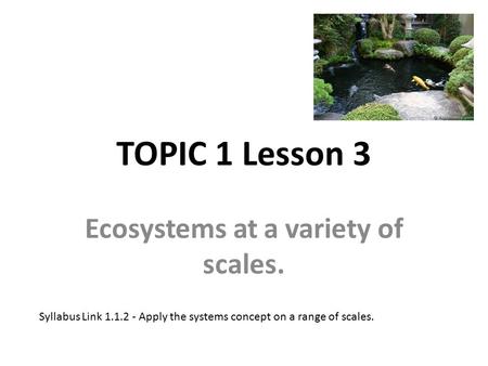 TOPIC 1 Lesson 3 Ecosystems at a variety of scales. Syllabus Link 1.1.2 - Apply the systems concept on a range of scales.