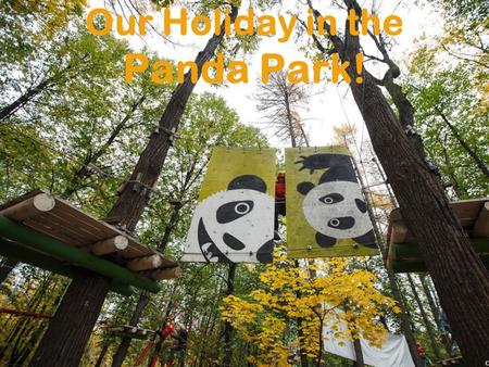 Our Holiday in the Panda Park!. I am happy to introduce you my idea of a good holiday for the whole class. Have you ever been to the Panda Park? It is.