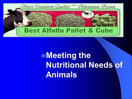 Meeting the Nutritional Needs of Animals. Next Generation Science/Common Core Science Standards Addressed RST.11 ‐ 12.7 Integrate and evaluate multiple.