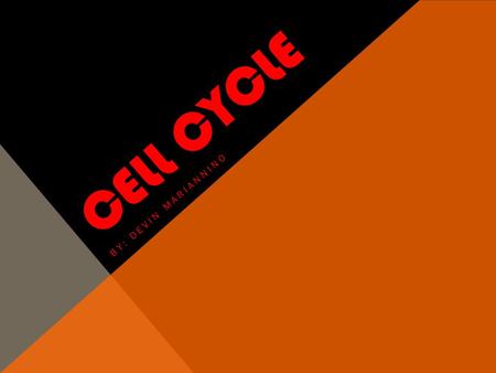 CELL CYCLE BY: DEVIN MARIANNINO. MITOSIS Division of the nucleus 4 phases