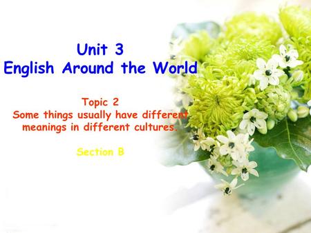 Unit 3 English Around the World Topic 2 Some things usually have different meanings in different cultures. Section B.