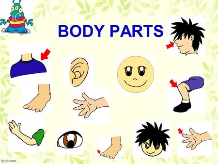 BODY PARTS.