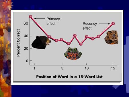 Memory Features Serial Position Effect Primacy Effect: Better recall, or improvement in retention, of information presented at the beginning of a task.