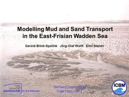 Modellierung von Sedimenttransporten im Wattenmeer - Gerold Brink-Spalink - Forschergruppe BioGeoChemie des Watts TP 4 Gerold Brink-Spalink Jörg-Olaf Wolff.