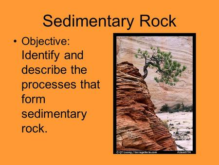 Sedimentary Rock Objective: Identify and describe the processes that form sedimentary rock.