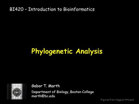 Phylogenetic Analysis Gabor T. Marth Department of Biology, Boston College BI420 – Introduction to Bioinformatics Figures from Higgs & Attwood.