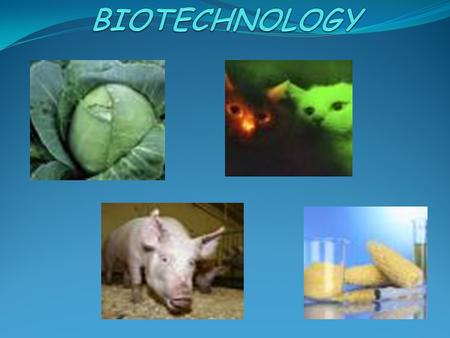 BIOTECHNOLOGY.