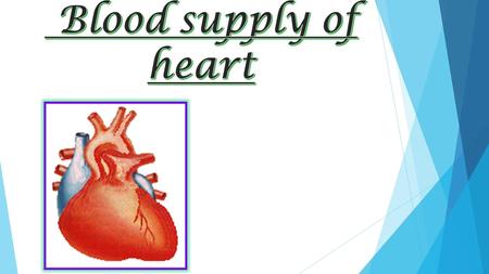  Arterial Supply  Right coronary artery  Left coronary artery  Venous Drainage  Venae cordis minimis  Anterior cardiac veins  Coronary sinus.