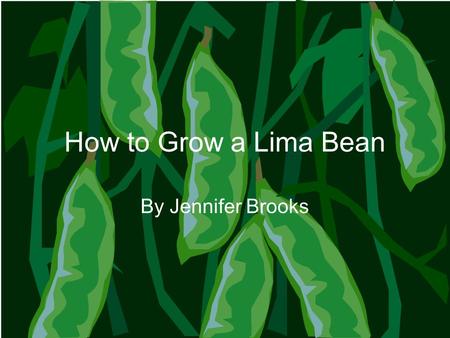 How to Grow a Lima Bean By Jennifer Brooks. What is in soil? Pieces of rocks that have been broken down Water Minerals and nutrients Air Sticks, leaves,