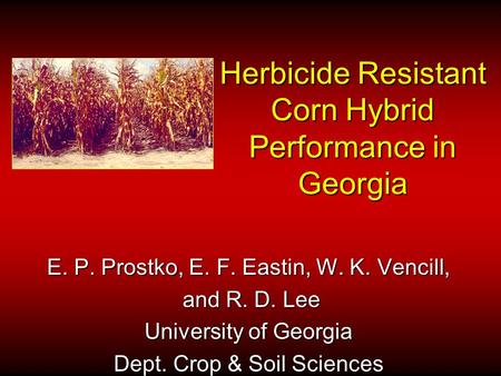 Herbicide Resistant Corn Hybrid Performance in Georgia E. P. Prostko, E. F. Eastin, W. K. Vencill, and R. D. Lee and R. D. Lee University of Georgia Dept.