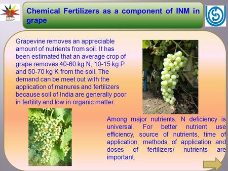 Chemical Fertilizers as a component of INM in grape Grapevine removes an appreciable amount of nutrients from soil. It has been estimated that an average.