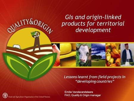 GIs and origin-linked products for territorial development Lessons learnt from field projects in “developing countries” Emilie Vandecandelaere FAO, Quality.