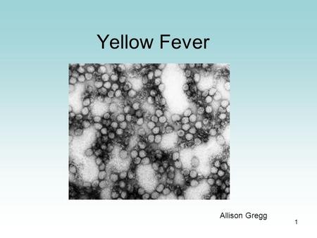 1 Yellow Fever Allison Gregg. 2 General History thousands of years old originated in Africa brought to the U.S. in the 1500s.