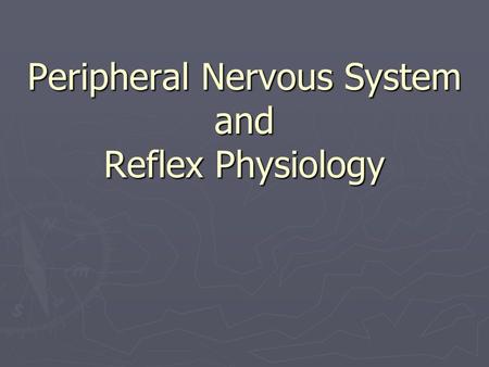 Peripheral Nervous System and Reflex Physiology.