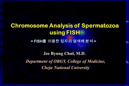 Chromosome Analysis of Spermatozoa using FISH = FISH 를 이용한 정자의 염색체 분석 = Department of OBGY, College of Medicine, Cheju National University Jee Byung Chul,