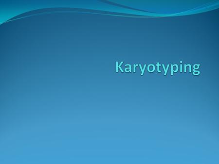 Karyotyping.