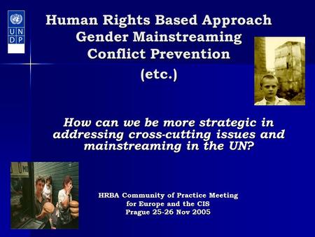 Human Rights Based Approach Gender Mainstreaming Conflict Prevention (etc.) How can we be more strategic in addressing cross-cutting issues and mainstreaming.