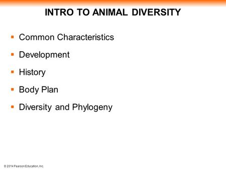 INTRO TO ANIMAL DIVERSITY