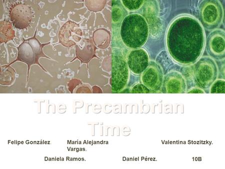 The Precambrian Time Felipe González. María Alejandra Vargas.