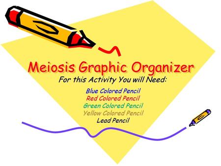 Meiosis Graphic Organizer