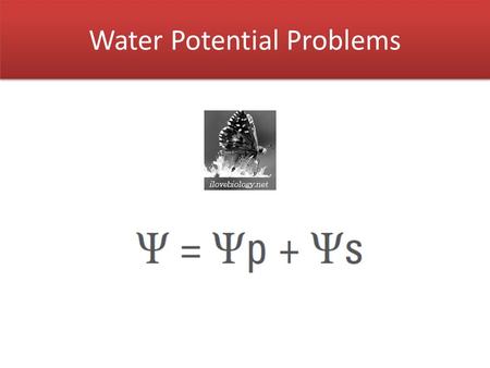 Water Potential Problems