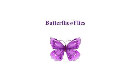 Butterflies/Flies. A butterfly, also know as a fly, is a hedged position, which is executed to reduce the risk of adverse price movements. It consists.