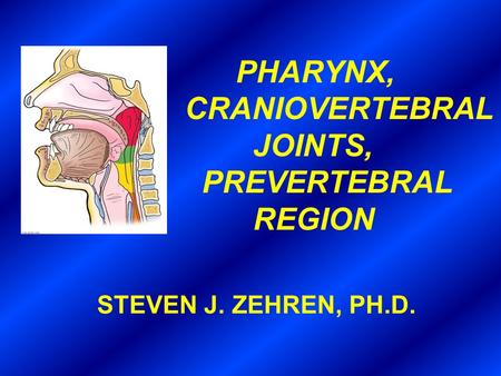 PHARYNX, CRANIOVERTEBRAL JOINTS, PREVERTEBRAL REGION