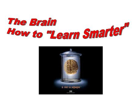 What we will learn: Facts about the brain Ways to help your own learning Ways to help your own brain development.