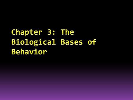 _______ – structural support and insulation _________ – communication Soma – cell body __________ – receive Axon – transmit away _______________ – speeds.