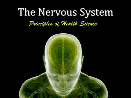 The Nervous System Principles of Health Science. What is the nervous system composed of? Brain Spinal Cord Nerves Sense Organs Receptors.