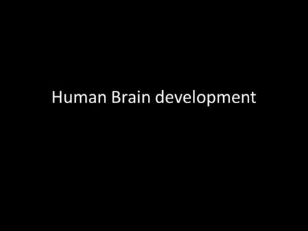 Human Brain development. Brain development in the uterus (1) 3 parts of Brain formed by 3 rd week of conception Brain starts to function properly a week.