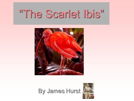 “The Scarlet Ibis” By James Hurst. “The Scarlet Ibis”  A story about two brothers –The Narrator – Older brother –“Doodle” – Younger brother that has.