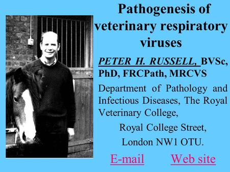 Pathogenesis of veterinary respiratory viruses PETER H. RUSSELL, BVSc, PhD, FRCPath, MRCVS Department of Pathology and Infectious Diseases, The Royal Veterinary.