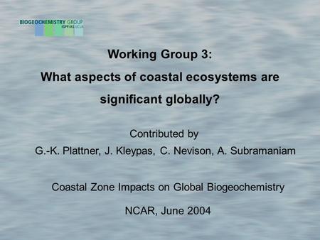 Working Group 3: What aspects of coastal ecosystems are significant globally? Coastal Zone Impacts on Global Biogeochemistry NCAR, June 2004 Contributed.