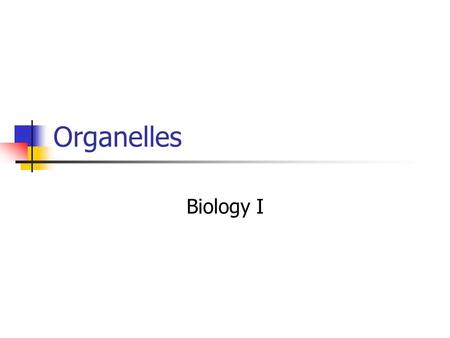 Organelles Biology I. Plant Cell Cellular boundaries Cell membrane: thin flexible barrier around cells Cell Wall: An inflexible barrier protects the.