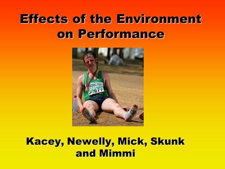 Effects of the Environment on Performance Kacey, Newelly, Mick, Skunk and Mimmi.