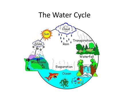 The Water Cycle. Link Where do puddles go? Essential Question How does water move around Earth’s atmosphere and lithosphere (ground)? ?