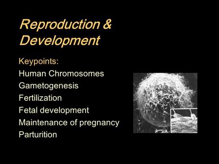 Reproduction & Development