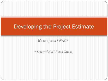 It’s not just a SWAG* * Scientific Wild Ass Guess Developing the Project Estimate.