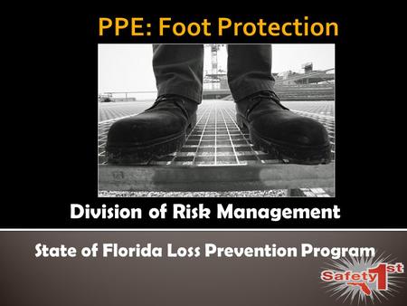 Division of Risk Management State of Florida Loss Prevention Program.