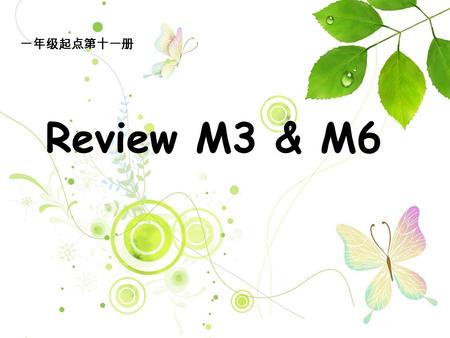 Review M3 & M6 一年级起点第十一册. have got ( 缩写形式 ) = ______________ has got ( 缩写形式 ) = ______________ have not got ( 缩写形式 )= ______________ has not got ( 缩写形式.