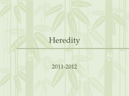 Heredity 2011-2012. Mav Mark 10/11/11 In pea plants, purple flowers (P) are dominant over white (p). A purple flowered plant pollinates a white flowered.