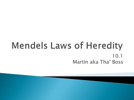 10.1 Martin aka Tha’ Boss.  Heredity: the passing on of characteristics from parents to offspring ◦ Traits: the characteristics that are inherited 