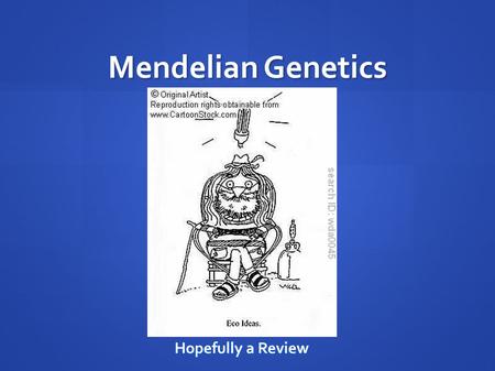 Mendelian Genetics Hopefully a Review. Gregor Mendel German/Austrian monk in the mid 1800s Father of genetics, heredity  Mendel's Laws Tested the properties.