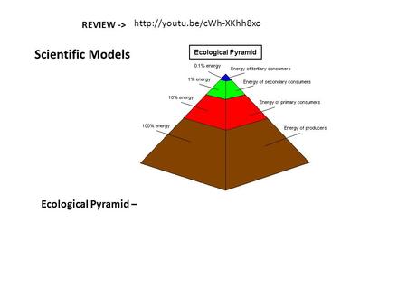 Scientific Models Ecological Pyramid –  REVIEW ->