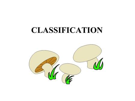 CLASSIFICATION. Periodic Table of Elements 1789 Lavosier 1869 Mendelev.